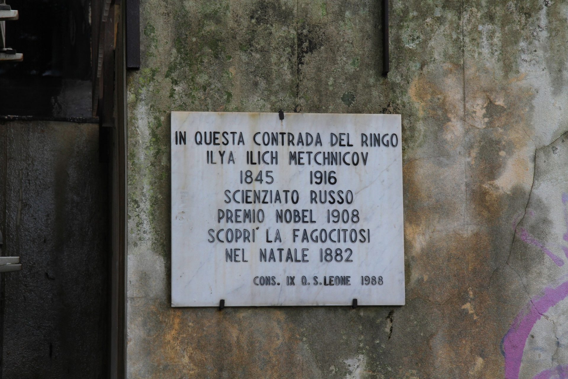 Ilya Metchnikoff's memorial tablet, Messina - 02.JPG